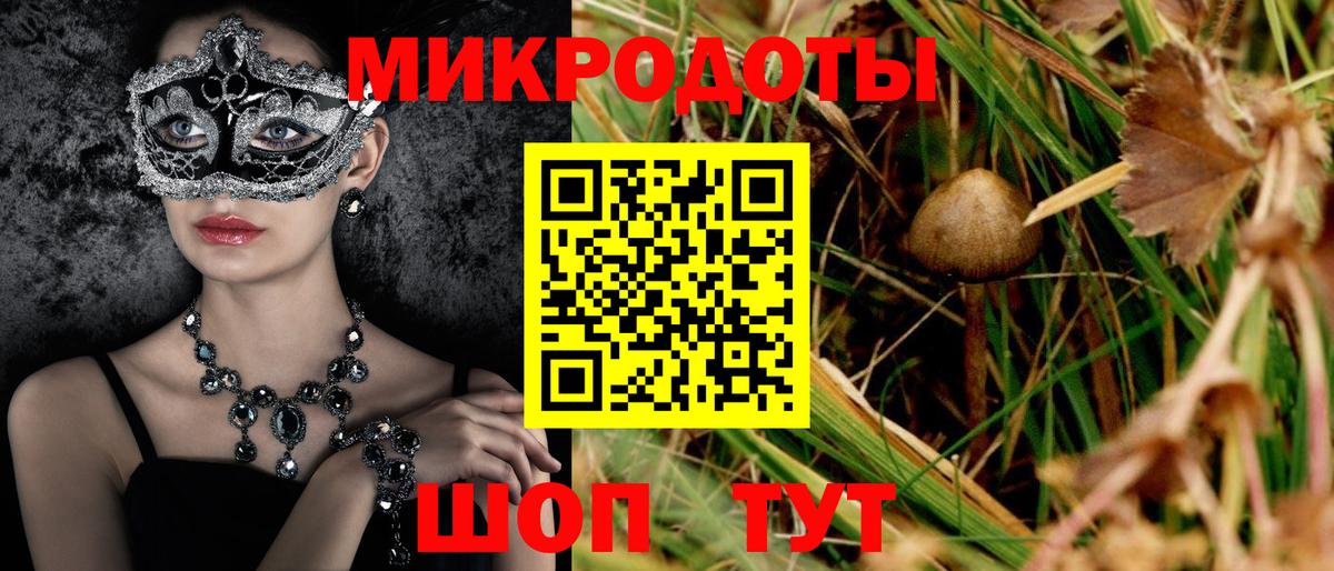 Псилоцибиновые грибы MAGIC MUSHROOMS Кисловодск